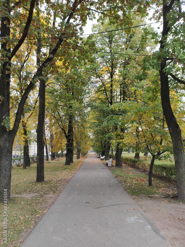 autumn in the park