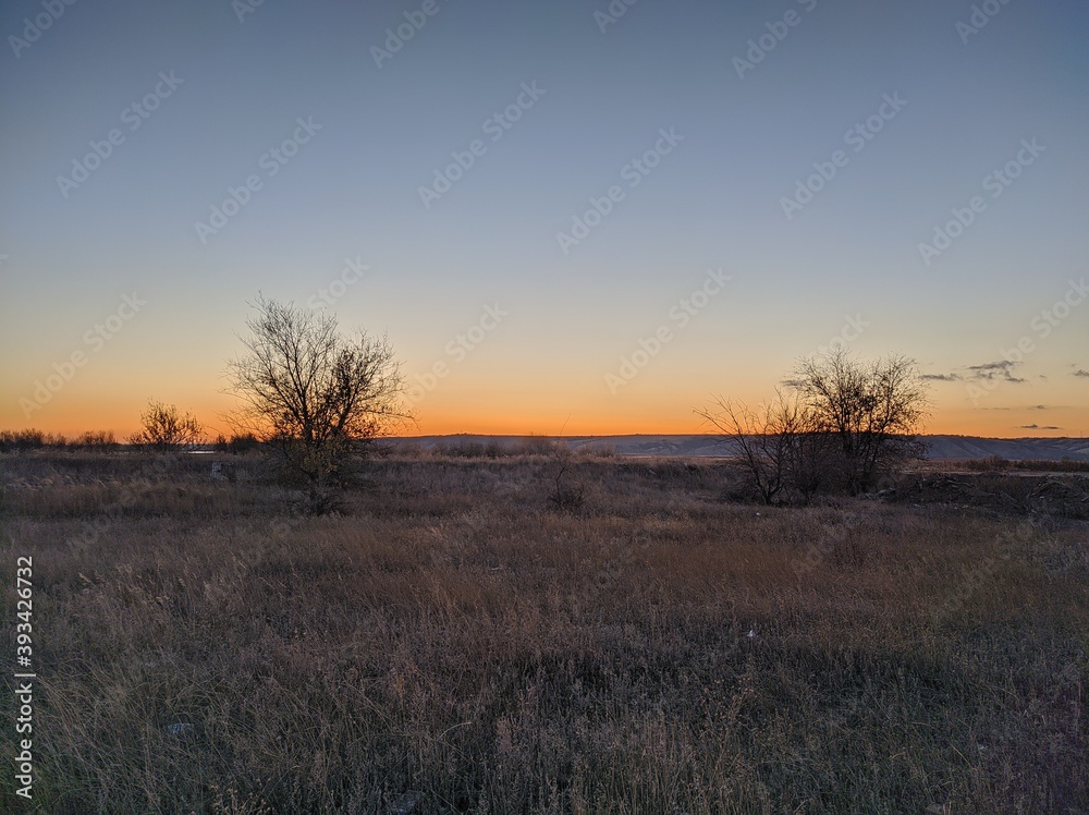 sunrise in the field