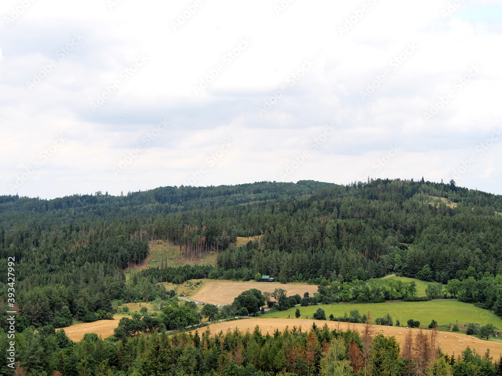 view of a field with grain in an agricultural landscape, forests and hills in the background, summer hiking, sky