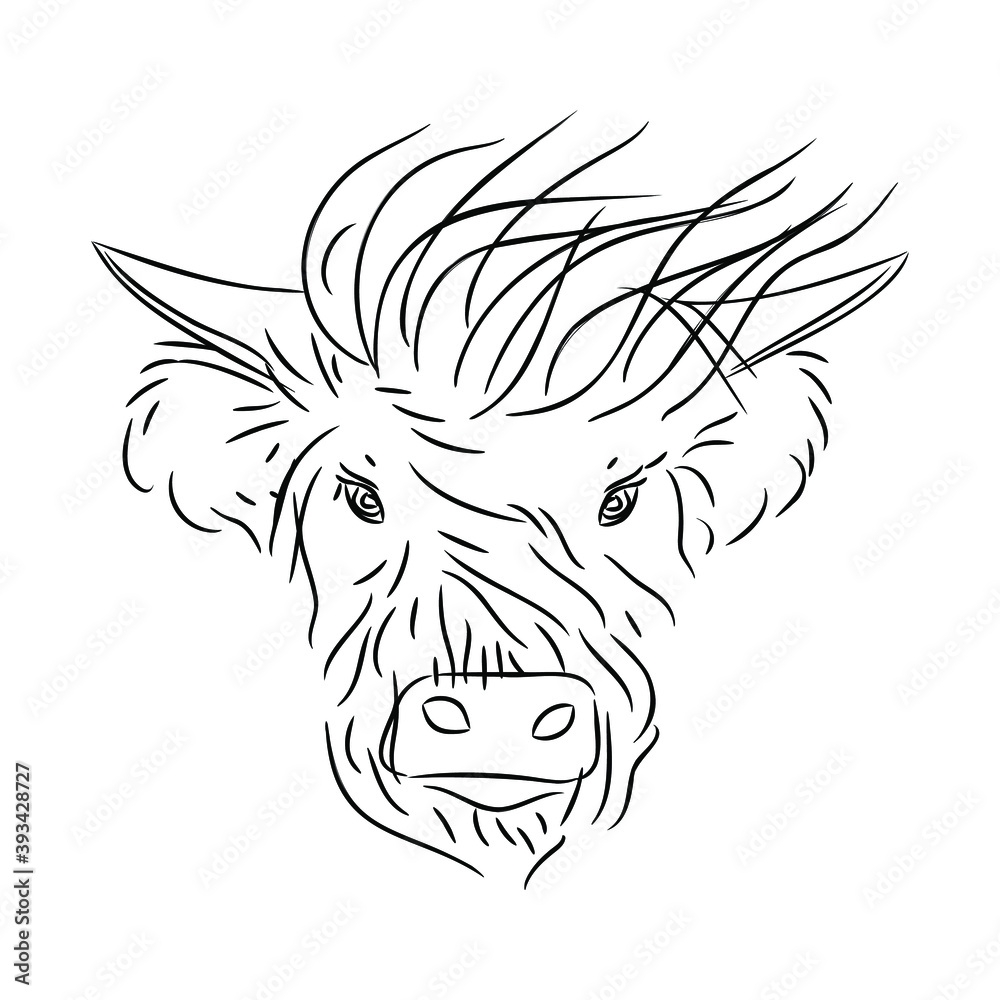 Fashionable bull head with bangs on a white background. The symbol of 2021 is the year of the white metal Ox. Fashionable bull head with bangs on a white background. The symbol of 2021 is the year of the white metal Ox.