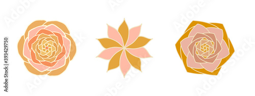 Vector set of flowers. Gold exotic succulents on a white background isolate. Floral drawn print style. Vector illustration with botanical elements. Stone rose
