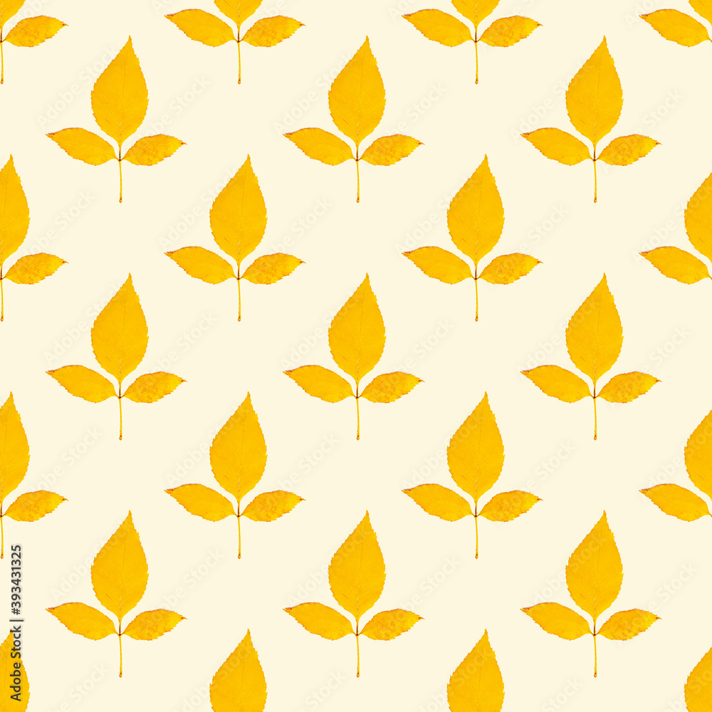 Naklejka premium Top view flat lay autumnal leaves repeat seamless pattern on light background.