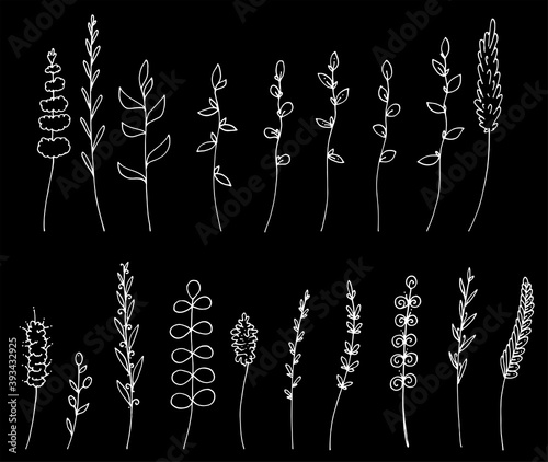 drawing a set of forest blades and twigs with leaves a collection of isolated graphic vector illustrations drawn by hand with a white line on a white background isolated elements for a design template