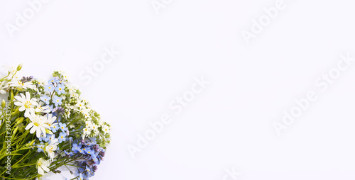 Wild white and blue forget-me-not plant flowers on soft paper background. Copy space. Floral card.