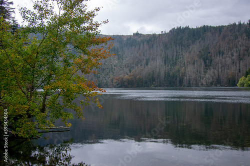 Black lake (Cerne jezero) in Bohemian forest, Sumava national park, Czech republic