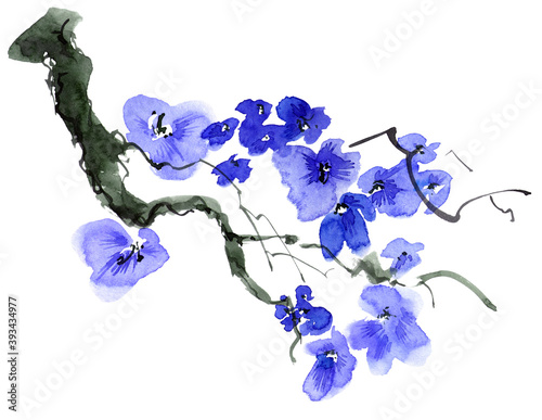 Watercolor and ink illustration of blossom tree with blue flowers and buds. Oriental traditional painting in style sumi-e, u-sin and gohua.
