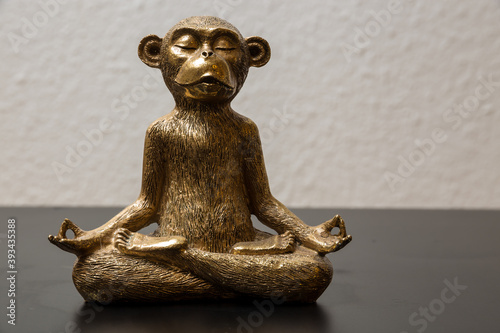 Photography A meditating monkey.