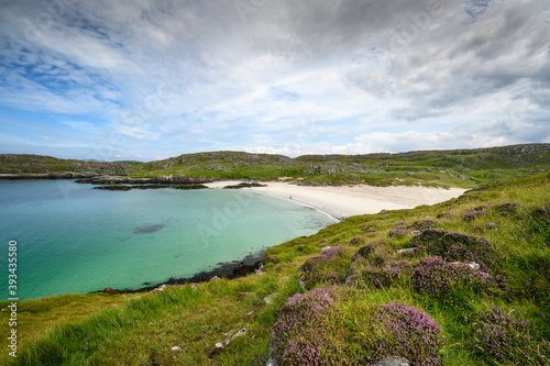 UK, Scotland, Wildflowers blooming in front of Bostadh Beach photo