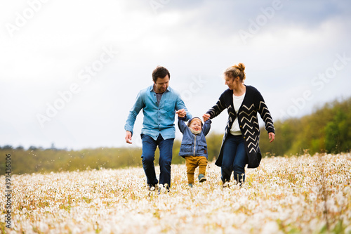 Parents walking with little boy in dandelion field photo