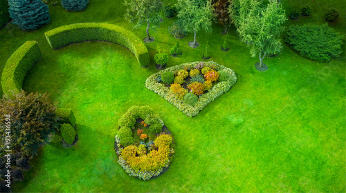 Green lawn  flower clubs and hedge  backyard  top view.