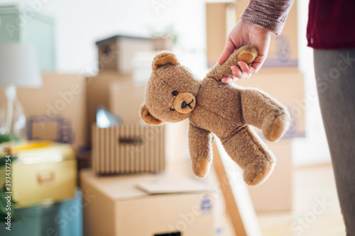 Close-up of woman holding teddy bear in new home photo