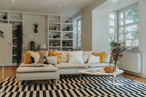 Modern living room interior with sofa