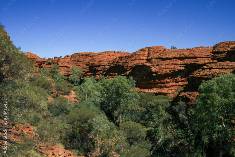 Kings Canyon in Watarrka National Park, Northern Territory, Australia, Outback