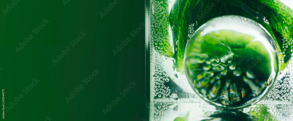 green leaf and transparent sphere with water aqua drops. Composition of nature.