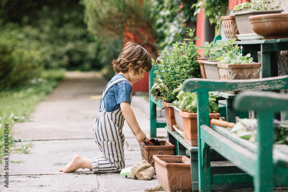 Boy kneeling while gardening plant at backyard Boy kneeling while gardening plant at backyard