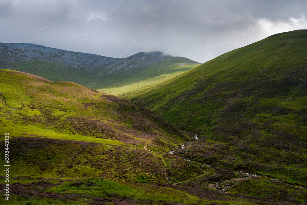 Green hilly landscape of Cairngorms National Park