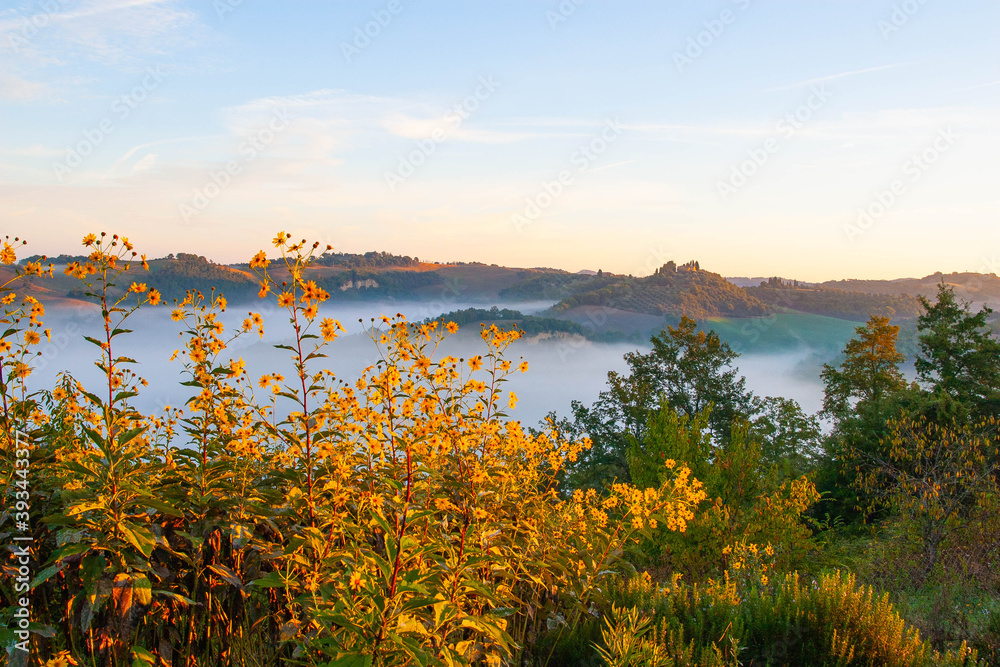 Obraz premium Tuscan landscape on a foggy morning, Italy