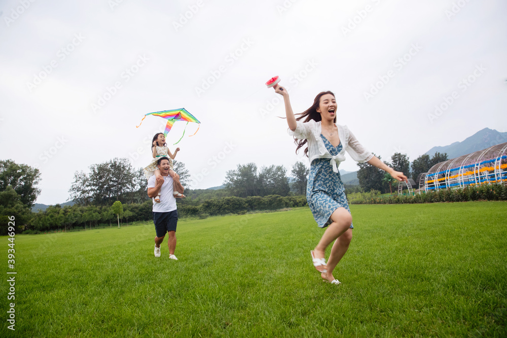 My happiness is flying a kite on the grass My happiness is flying a kite on the grass