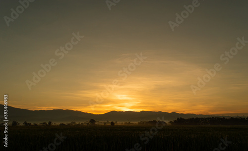 Natural sunrise over field or meadow