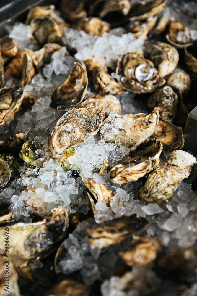Oysters on Ice Oysters on Ice
