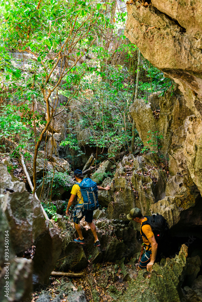 Two hikers walking throught foliage in jungle Two hikers walking throught foliage in jungle