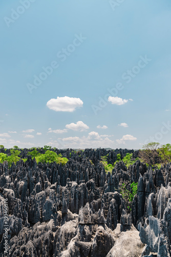 Thousand of neddles of rock formation photo