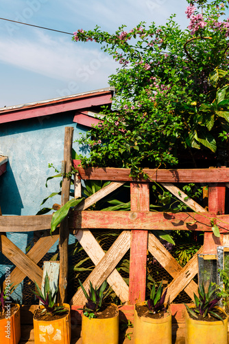 Rural terrace with plants in colorful house in Madagacar photo