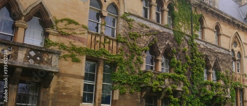 The historic facade is covered with ivy