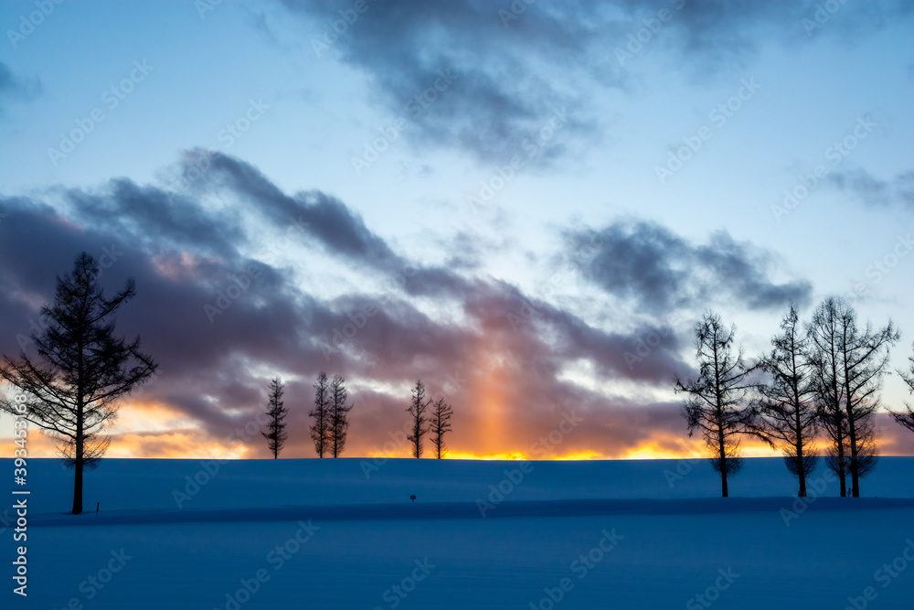 冬の夕暮れの丘に立つ冬木立と太陽柱
