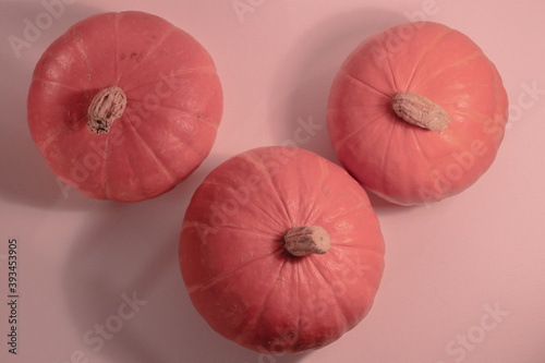Three round pink pastel color pumpkins top view photo