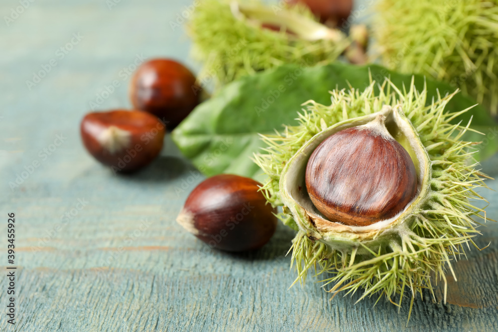 Fresh sweet edible chestnuts on blue wooden table, closeup. Space for text Fresh sweet edible chestnuts on blue wooden table, closeup. Space for text