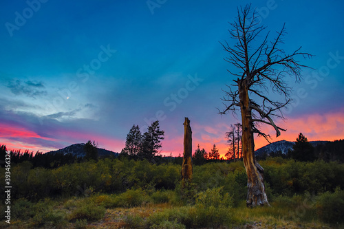 Tahoe Meadow at Sunset