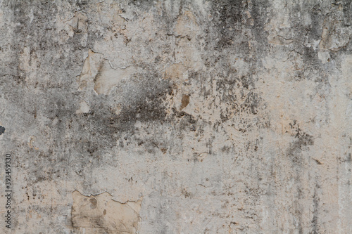 Grayish Rustic Grungy background on textured wall. 