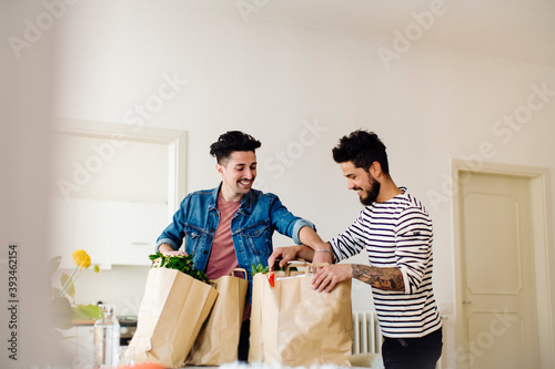 Ethnic gay couple unpacking groceries at home