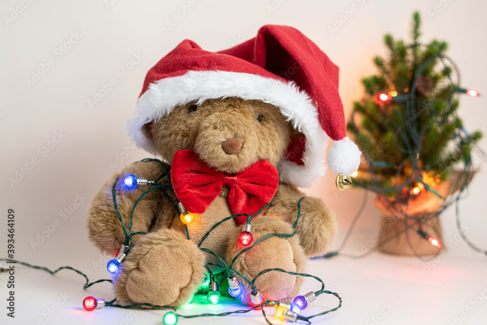 Cute teddy bear with red bow, Santa Claus hat and christmas lights on white background with christmas tree at bottom