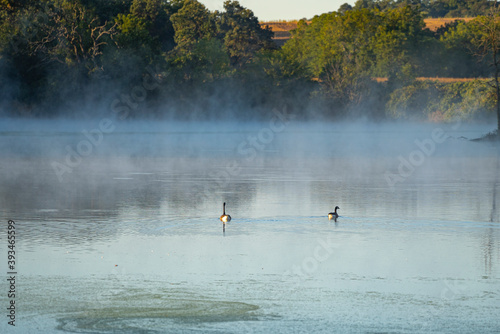 foggy lake in morning