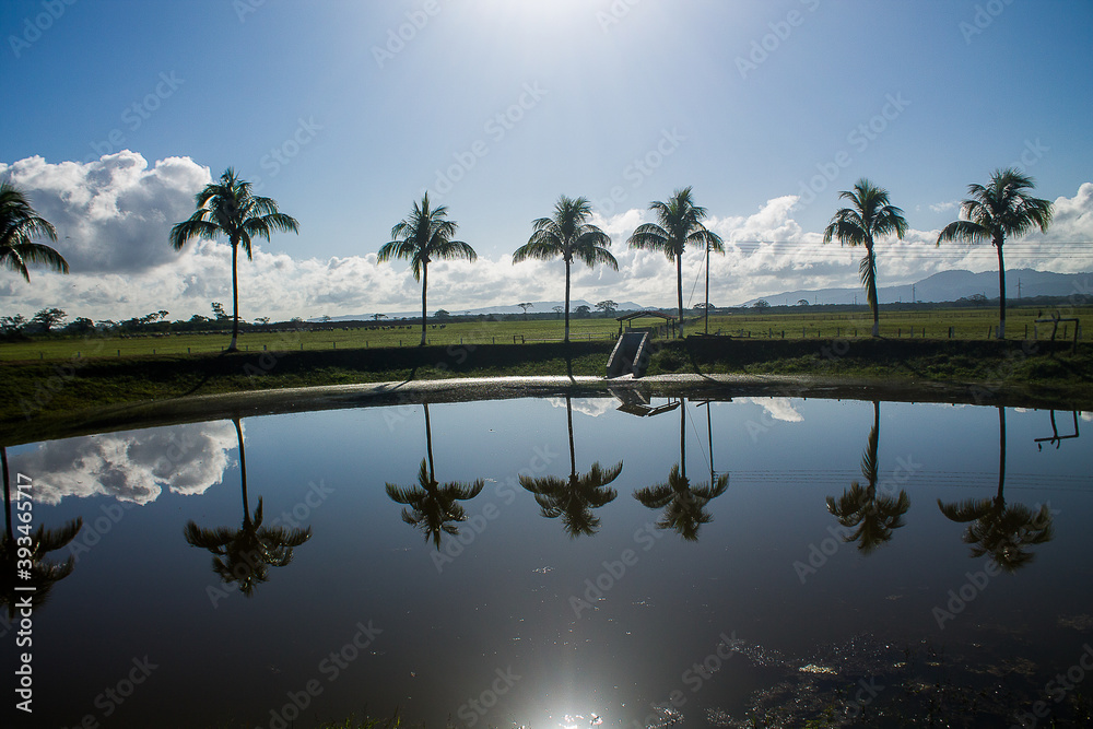 Obraz premium Palm trees reflected in the water of a lake under a great sun