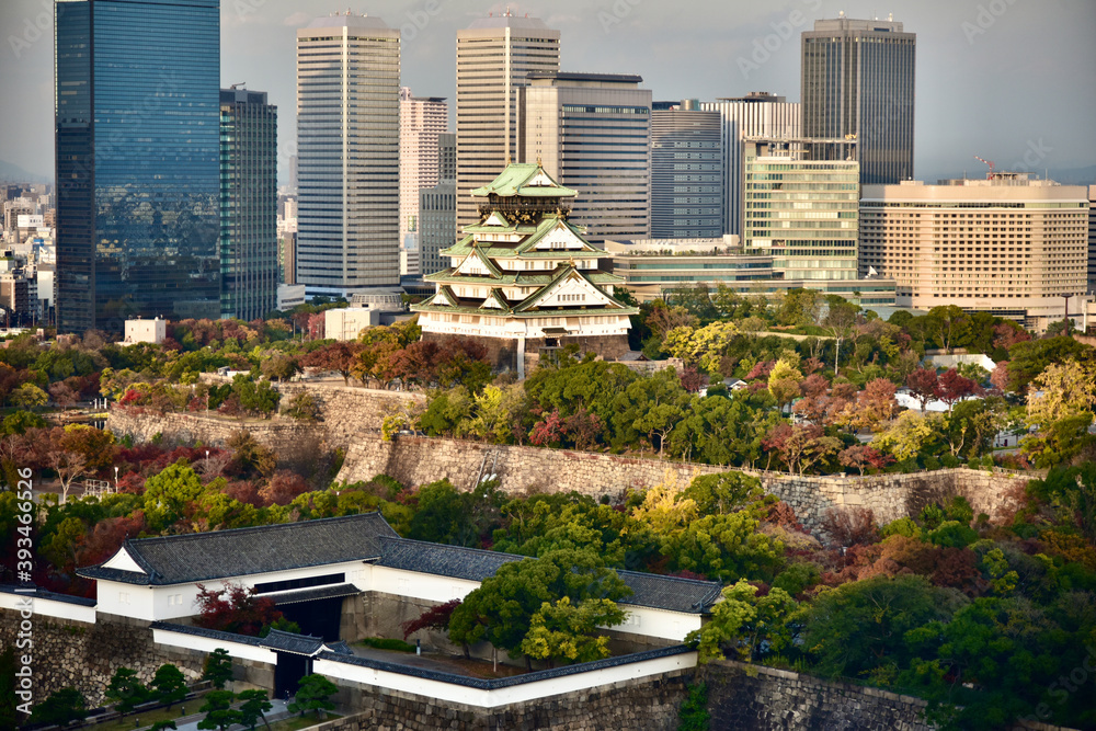 Fototapeta premium 日本の大阪城の紅葉