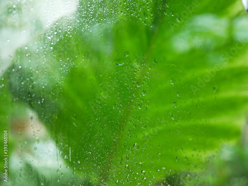 rain water drops on the window glass in rainy day.