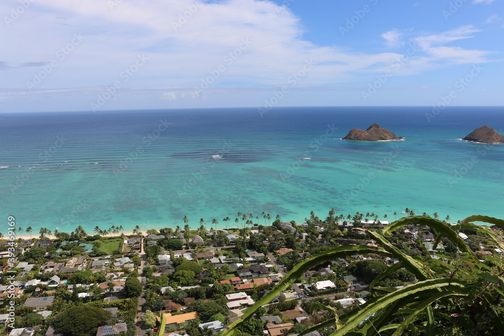 Fototapeta premium Hawaii