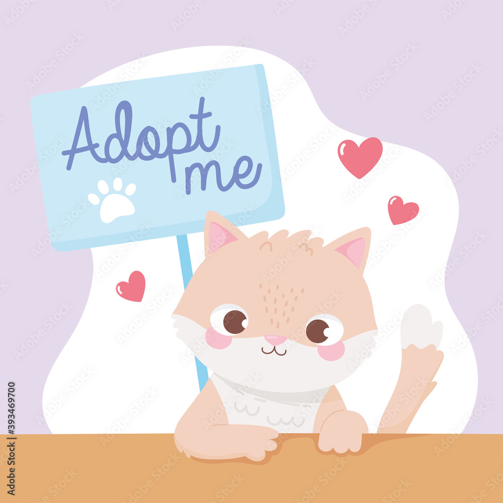 adopt a pet, cute little kitten with placard and hearts
