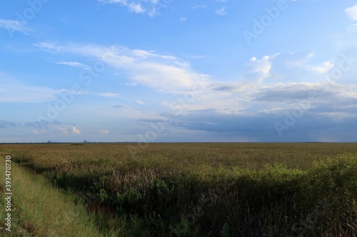 Over the sea of grass