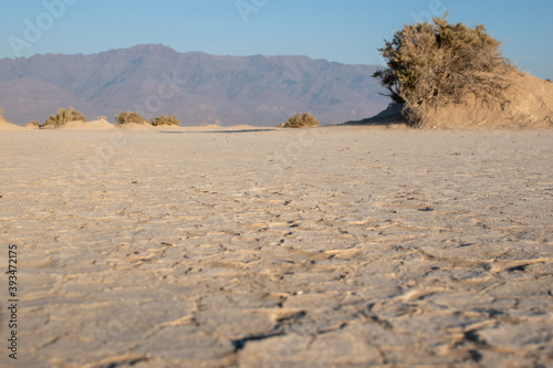 Cracked dry lake bed with view of Steens Mountains at Alvord Desert  Southeastern Oregon.