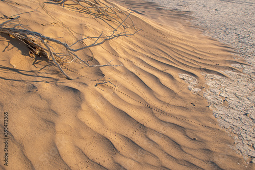 Insect tracks in rippled sand dune at Alvord Desert in Southeastern Oregon.
