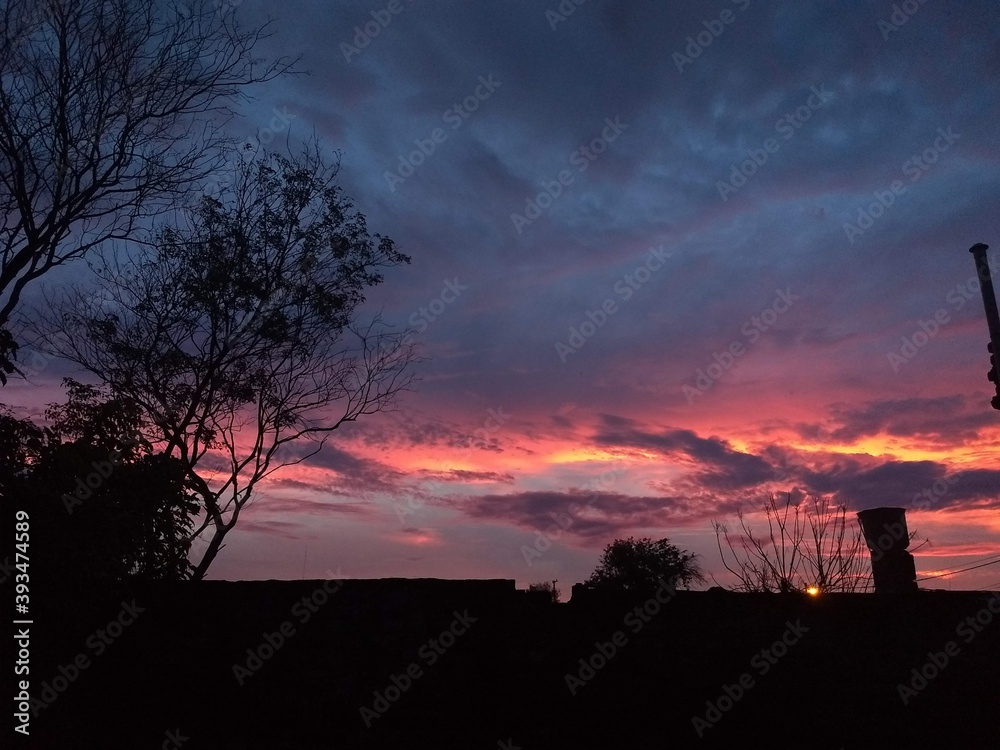 Fototapeta premium Cielo Rosa