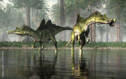 Two dinosaurs wade in the shallows waters of a prehistoric swamp.  There are ichthyovenators.  One of them has caught himself a fish for a meal.  Ichthyovenator was a dinosaur of the early Cretaceous. © Daniel Eskridge