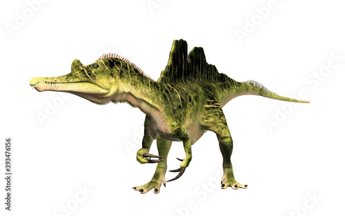 Fototapeta Naklejka Na Ścianę i Meble -  Ichthyovenator was a dinosaur of the early Cretaceous. It was a spinosaurid with an unusual split sail. It was semiaquatic and ate fish. On a white background.