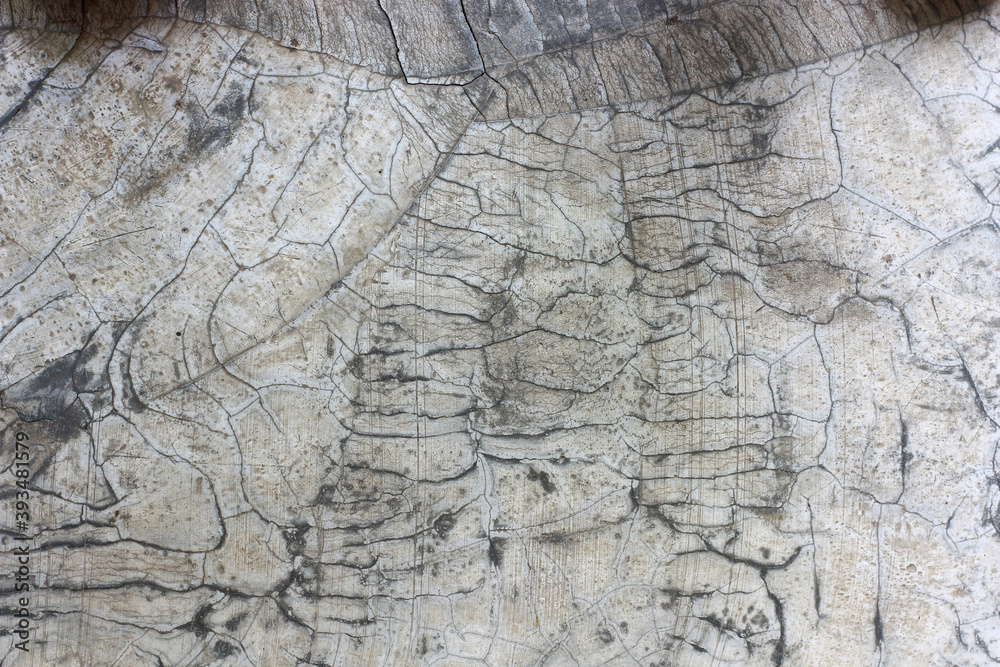 Fototapeta premium Aged cracked concrete stone plaster wall background and texture style