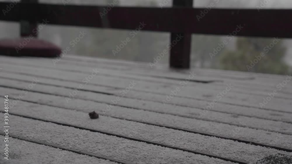 Pinecone on Snowy Wooden Deck in Snow Fall Pinecone on Snowy Wooden Deck in Snow Fall