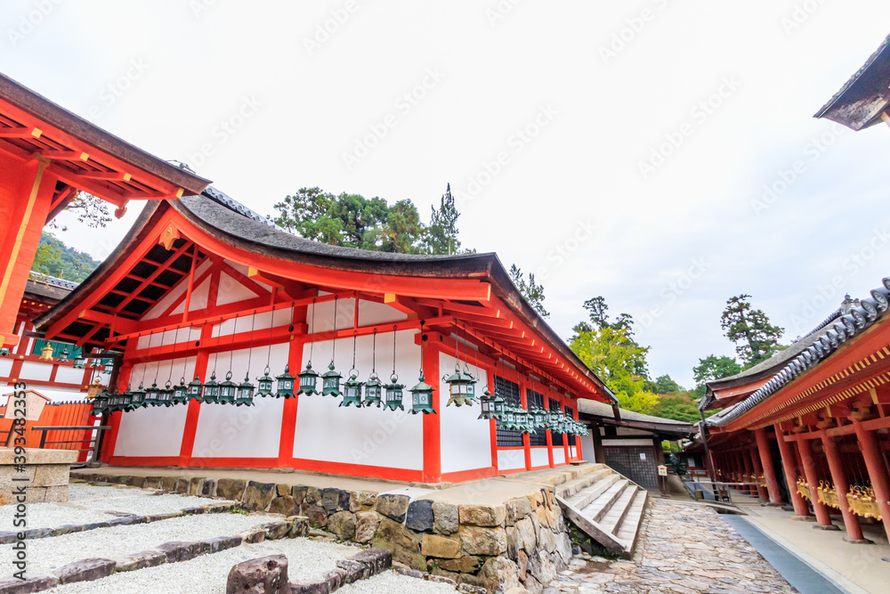 Naklejka premium 春日大社 奈良公園 奈良県奈良市 Kasuga-taisya Nara-ken Nara city